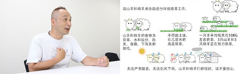 為了加深大家對“山羊和綿羊除草”的理解，制作Ｔ恤衫和看板。