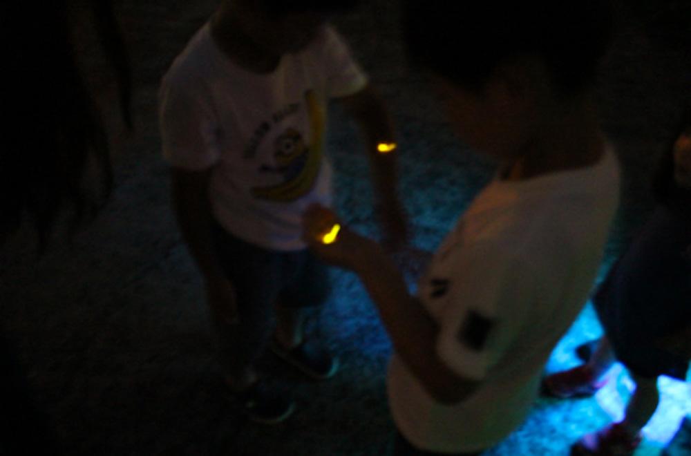 螢火蟲(chóng)觀(guān)賞大會(huì )的情景